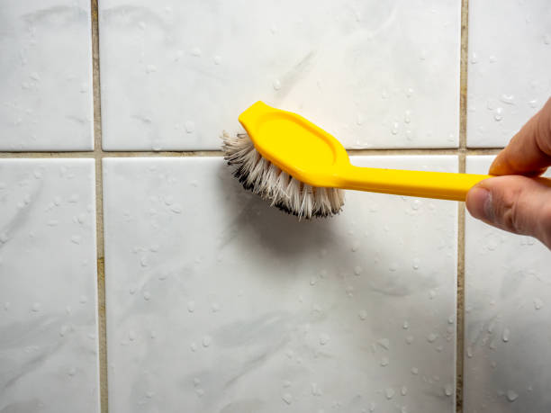 Best Certified Mold Removal  in Miami Lakes, FL