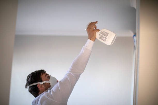 Best Professional Mold Removal  in Miami Lakes, FL